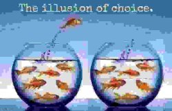 The illusion of choice. Meme Template