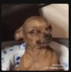 if it is monday Meme Template