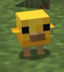 new babys Meme Template