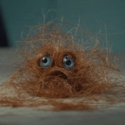 Hair Ballad creature Meme Template