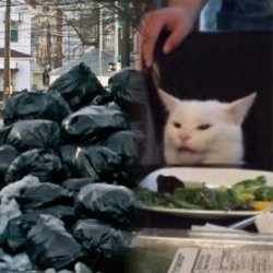 New York city garbage Meme Template