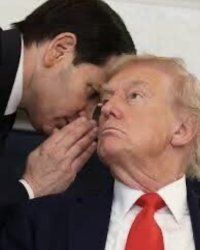 Rubio Meme Template