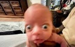 Smol shocked guy Meme Template