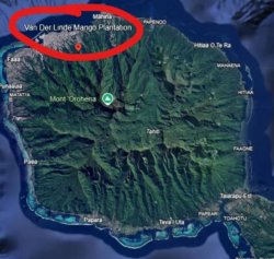 Looks like Dutch made it after all Meme Template