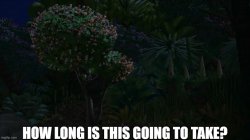 King Julien How Long Is This Going To Take Meme Template