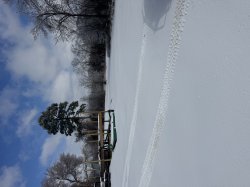 Mental health Meme Template