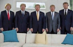 Trump white casting couch Meme Template