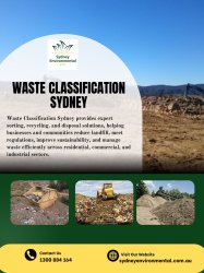 Waste Classification Sydney Meme Template