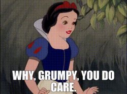 Why grumpy you do care Meme Template