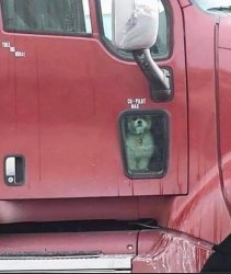 Chrisjoines1 Meme Template