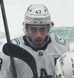 Quinn Hughes stare Meme Template