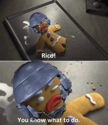 you know what to do Meme Template