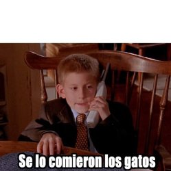 Se lo comieron los gatos Meme Template