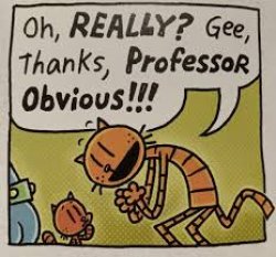 Oh Really? Gee Thanks profressor Obvious Meme Template