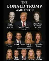 Trump Family Tree Meme Template