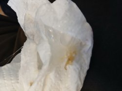 Beaty comes from the inside Meme Template