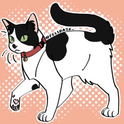 ♡♡kitler in picrew♡♡ Meme Template