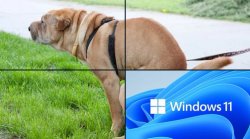 Stateofwindows Meme Template