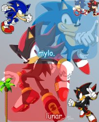 shared sonic and shadow temp Meme Template