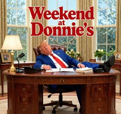 Weekend at Donnie's  Trump Sleeping Bernie Meme Template
