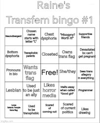 Raine's transfem bingo #1 Meme Template
