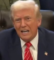 Trump Snaps Meme Template