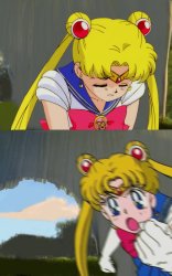 Usagi calls out who ? Meme Template
