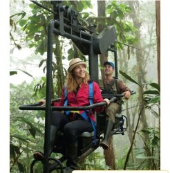 couples Meme Template