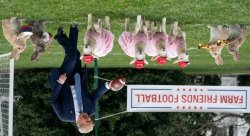 BAD BUNNY HALFTIME 2 Meme Template