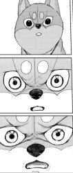 increasingly emotional manga dog Meme Template