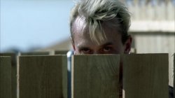 T bag looking over the fence Meme Template