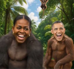 Barrack Obama Meme Template