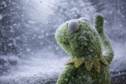 Sometime I Wonder (winter) Meme Template