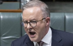 ANTHONY ALBANESE VILLAGE IDIOT Meme Template