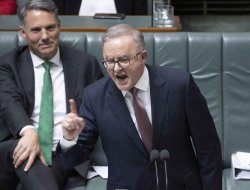ANTHONY ALBANESE VILLAGE IDIOT Meme Template