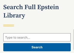 Doj Epstein search Meme Template