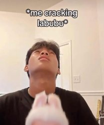 me cracking labubu Meme Template