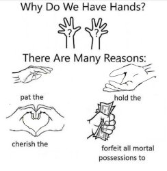 Why do we have hands? Meme Template