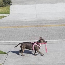 Funny Memes Meme Template