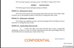 Epstein Files Meme Template