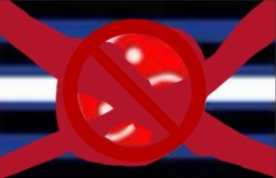 Anti-BDSM Flag Meme Template