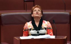 Hanson Meme Template