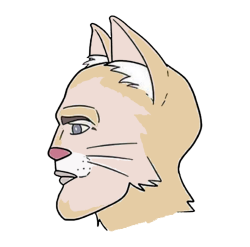 cat chad Meme Template