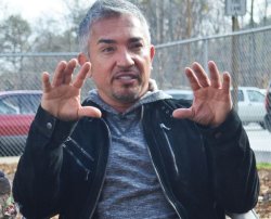 Cesar Millan Meme Template