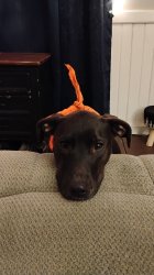 Superbowl 60 Meme Template