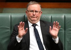 Anthony Village Idiot Albanese Meme Template
