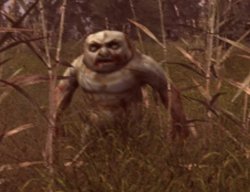 stalker lost Meme Template