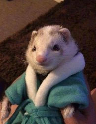 Primero que nada Buenos dias Meme Template