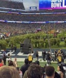 Dunsinane Wiod Bad Bunny Meme Template