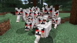 hostile wolfs Meme Template